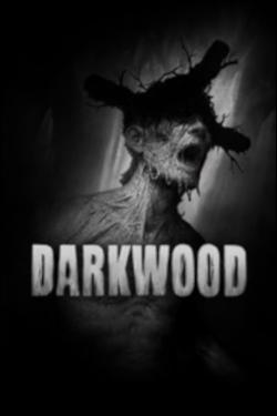 Darkwood Box art